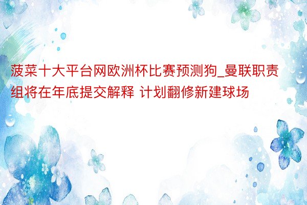 菠菜十大平台网欧洲杯比赛预测狗_曼联职责组将在年底提交解释 计划翻修新建球场