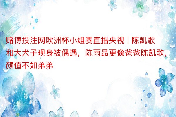 赌博投注网欧洲杯小组赛直播央视 | 陈凯歌和大犬子现身被偶遇，陈雨昂更像爸爸陈凯歌，颜值不如弟弟