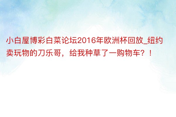 小白屋博彩白菜论坛2016年欧洲杯回放_纽约卖玩物的刀乐哥，